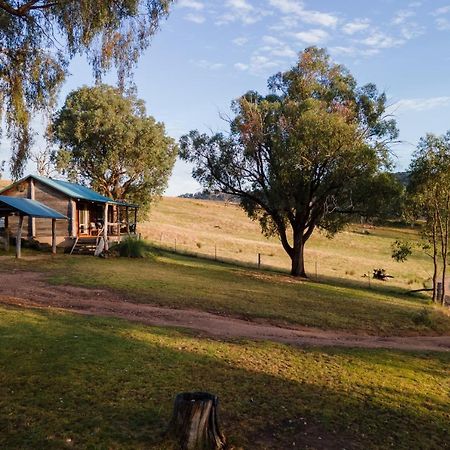 Gaddleen Grove Cottages Wodonga Eksteriør bilde