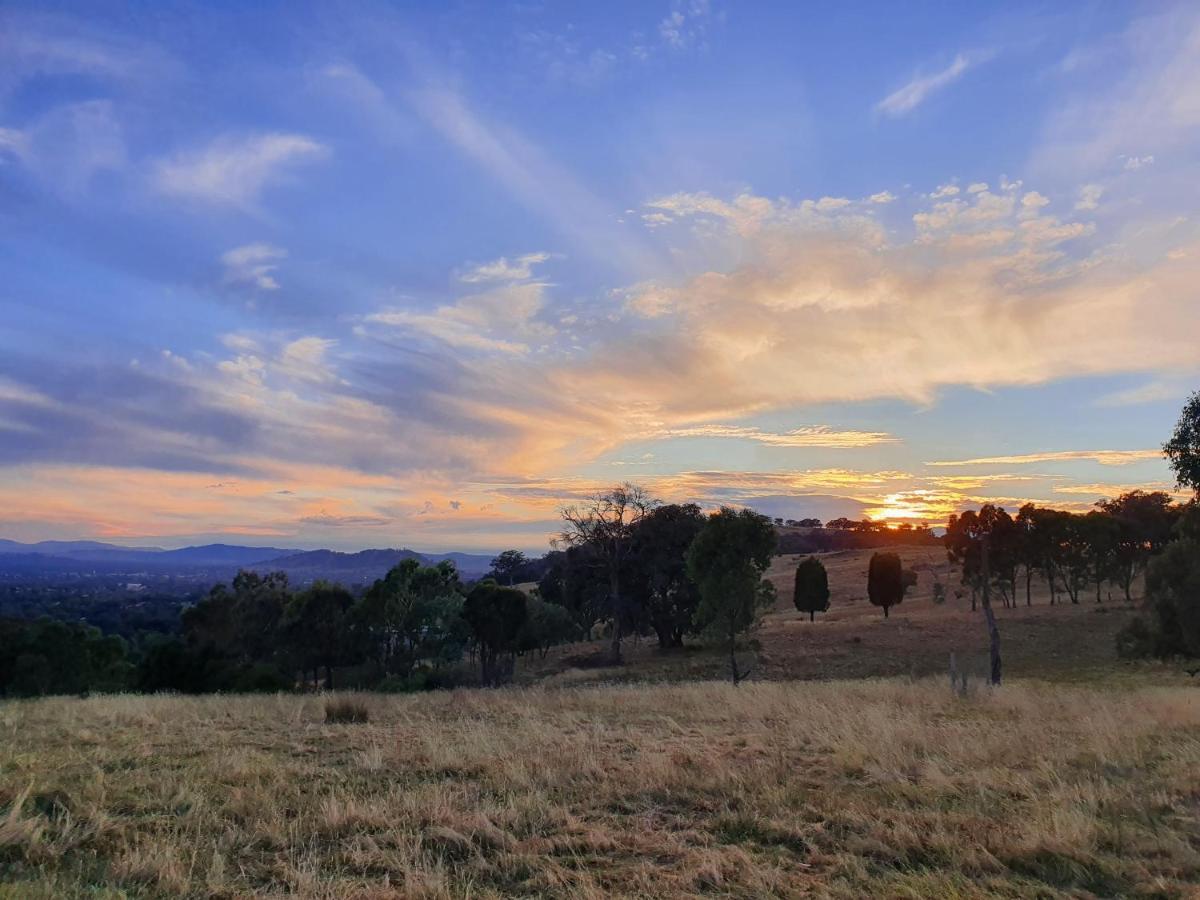 Gaddleen Grove Cottages Wodonga Eksteriør bilde