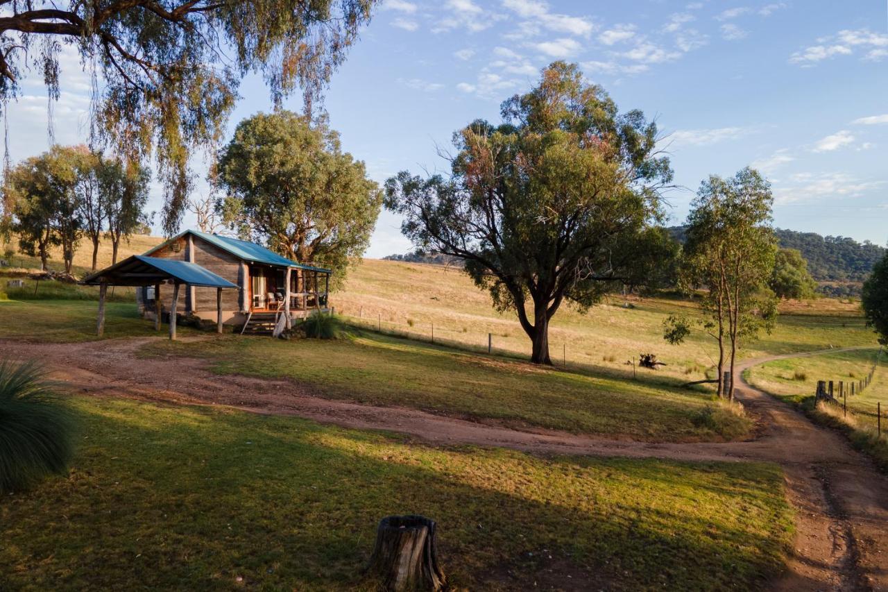 Gaddleen Grove Cottages Wodonga Eksteriør bilde