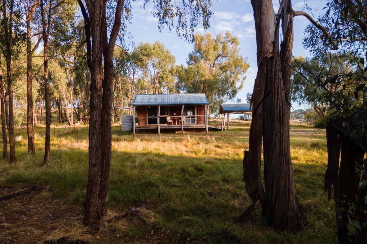 Gaddleen Grove Cottages Wodonga Eksteriør bilde