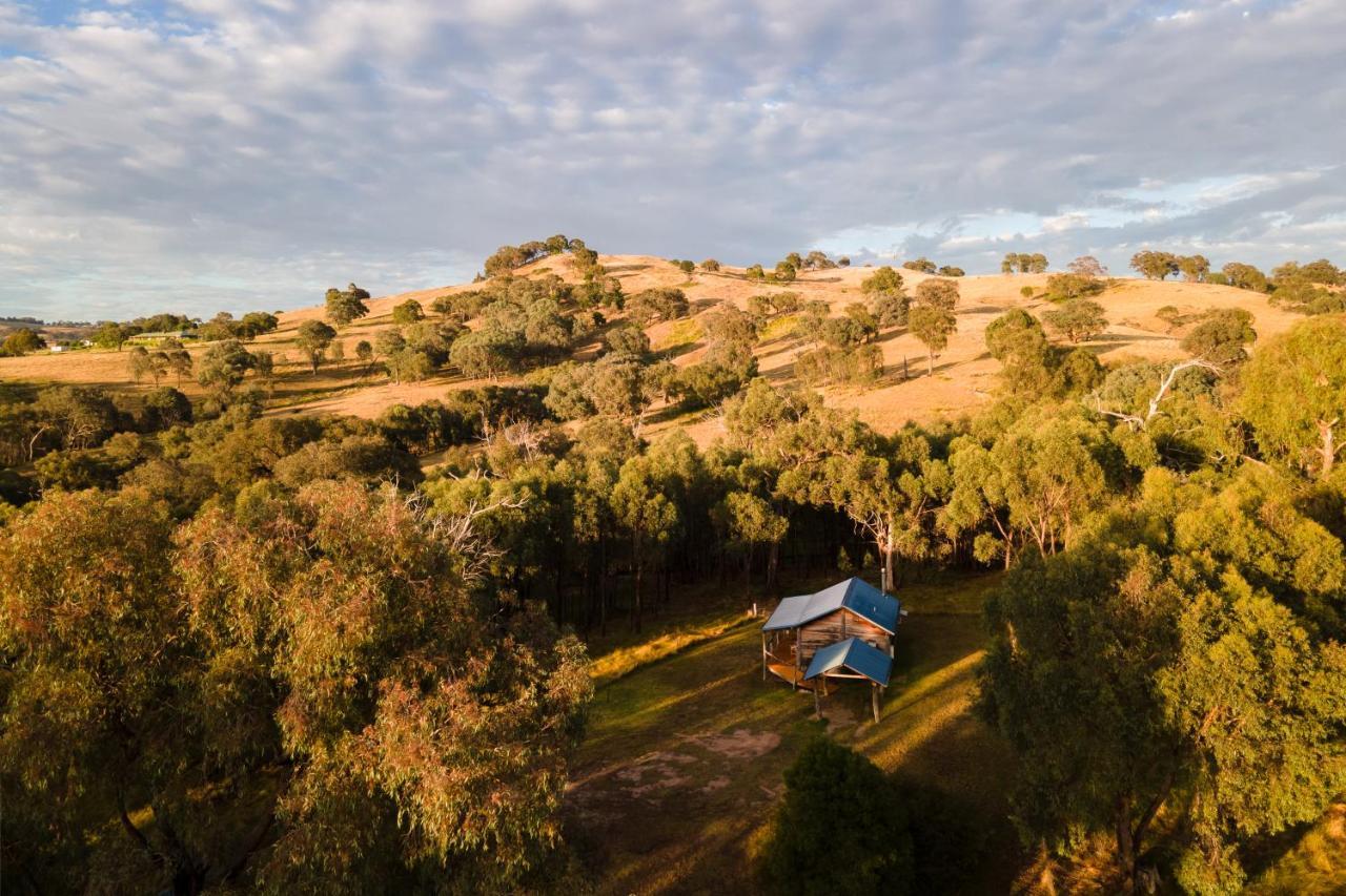 Gaddleen Grove Cottages Wodonga Eksteriør bilde